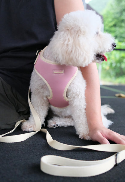 Sunset Sorbet Comfort Harness & Leash Set