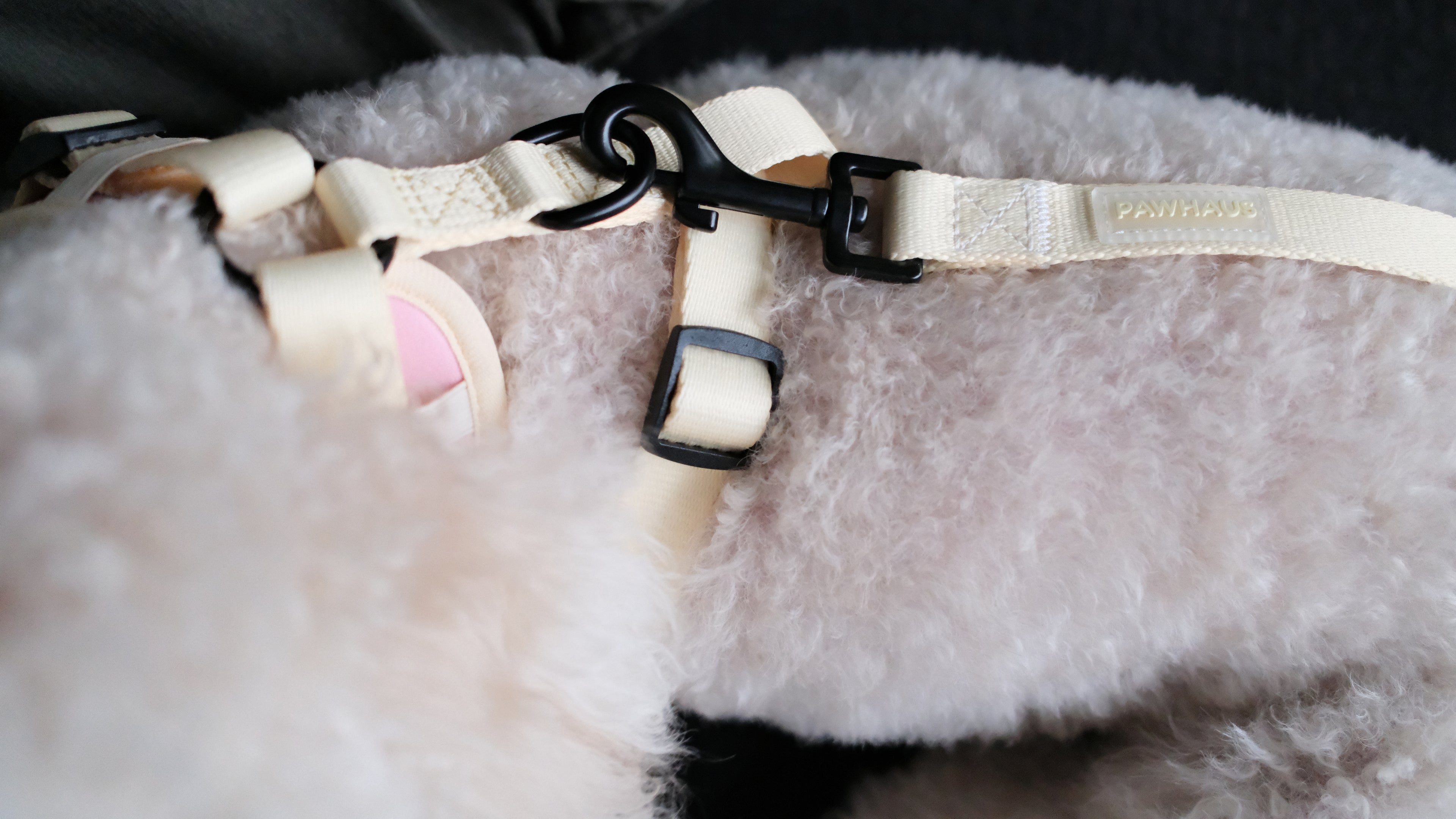 Sunset Sorbet Comfort Harness & Leash Set