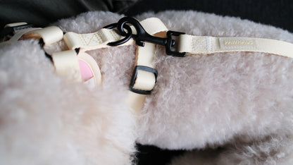 Sunset Sorbet Comfort Harness & Leash Set