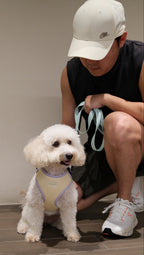 Spring Meadow Harness & Leash Set