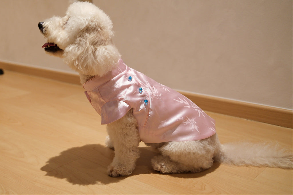 Little Qipao Collection