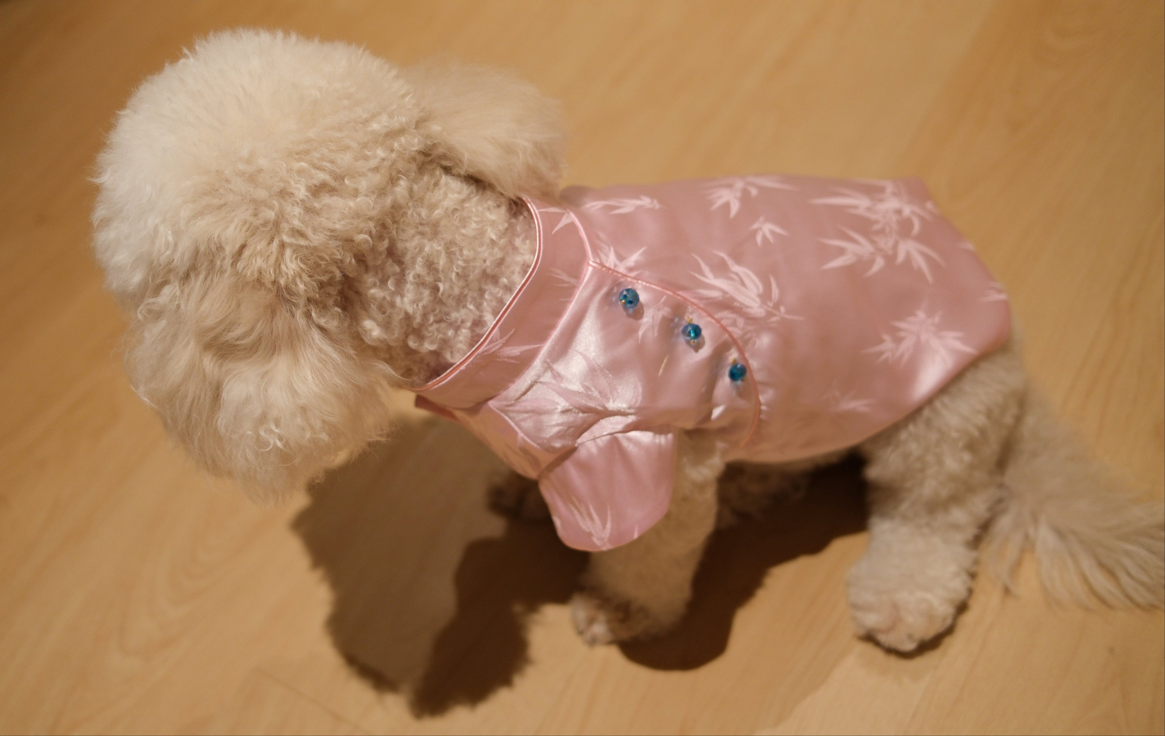 Little Qipao Collection