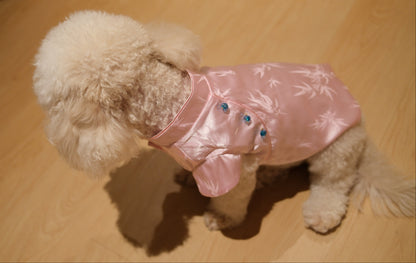 Little Qipao Collection