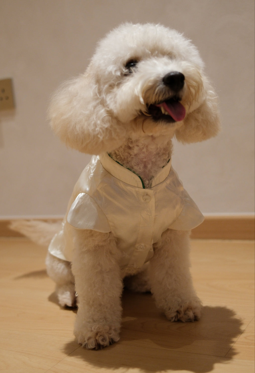 Little Qipao Collection