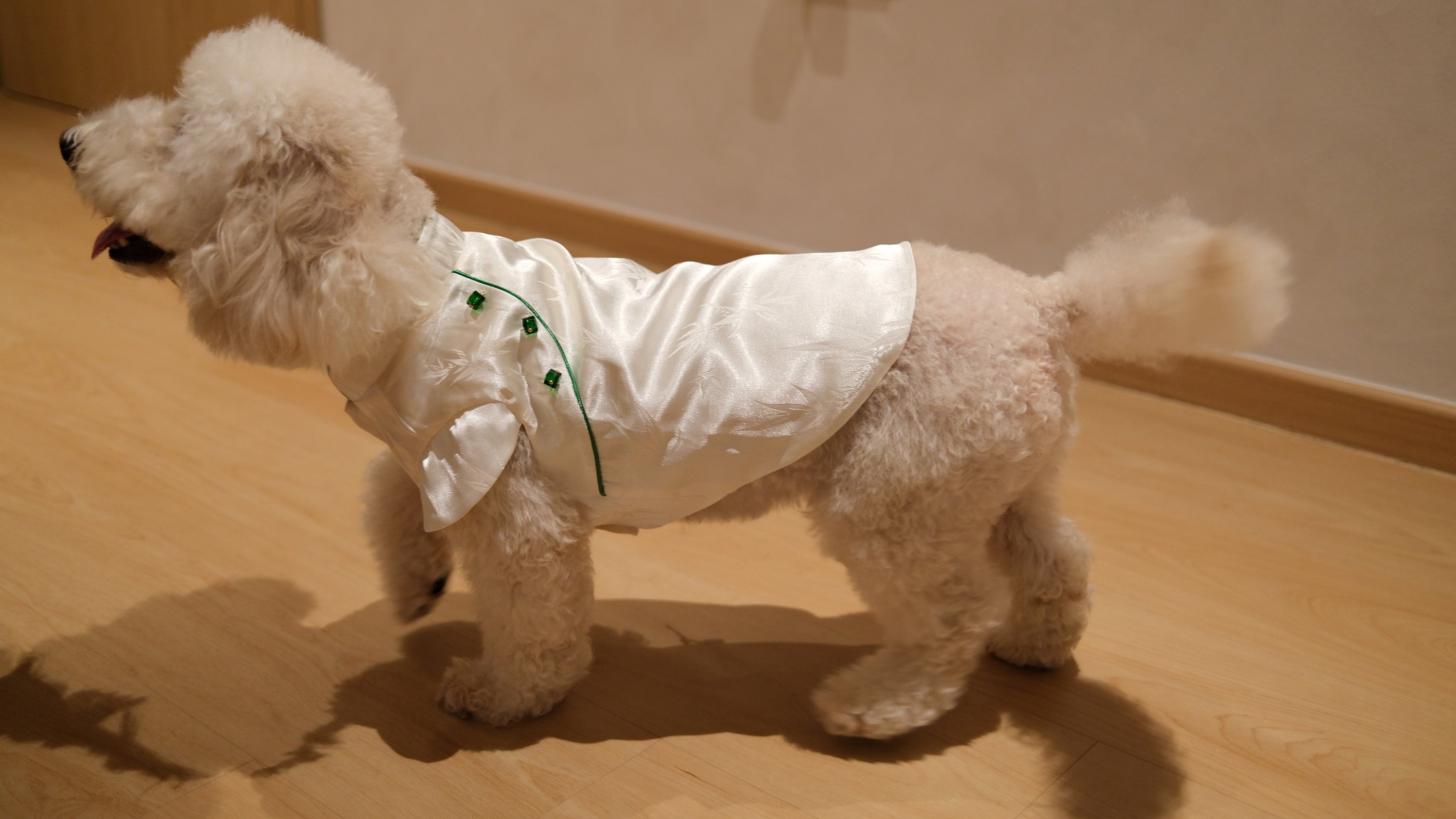 Little Qipao Collection