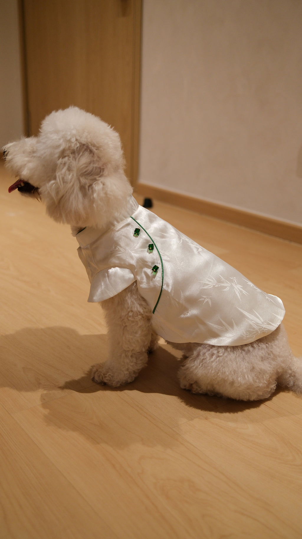 Little Qipao Collection