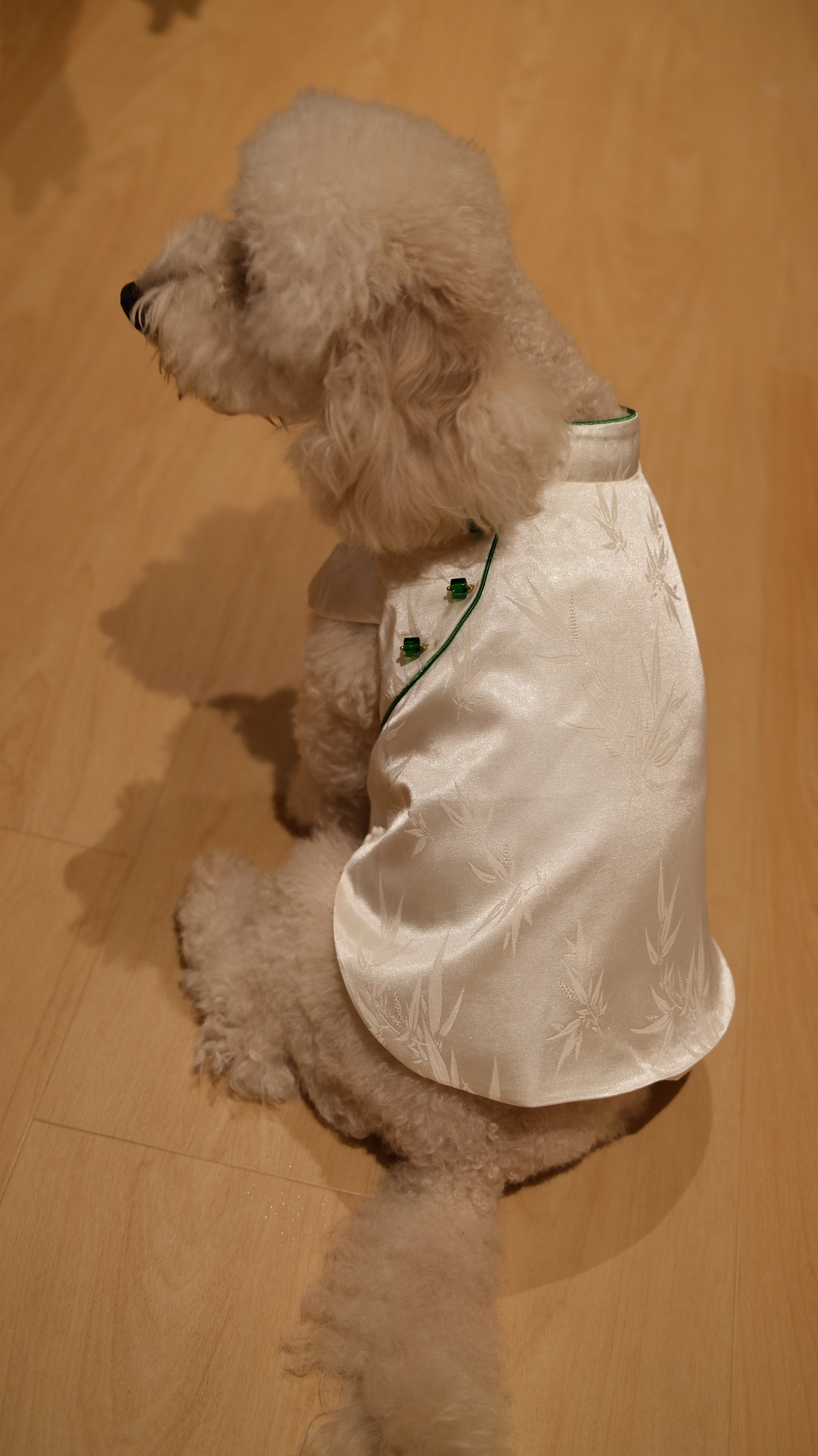 Little Qipao Collection