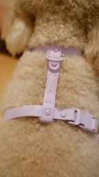 PuddleProof Harness Collection