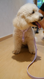 PuddleProof Harness Collection