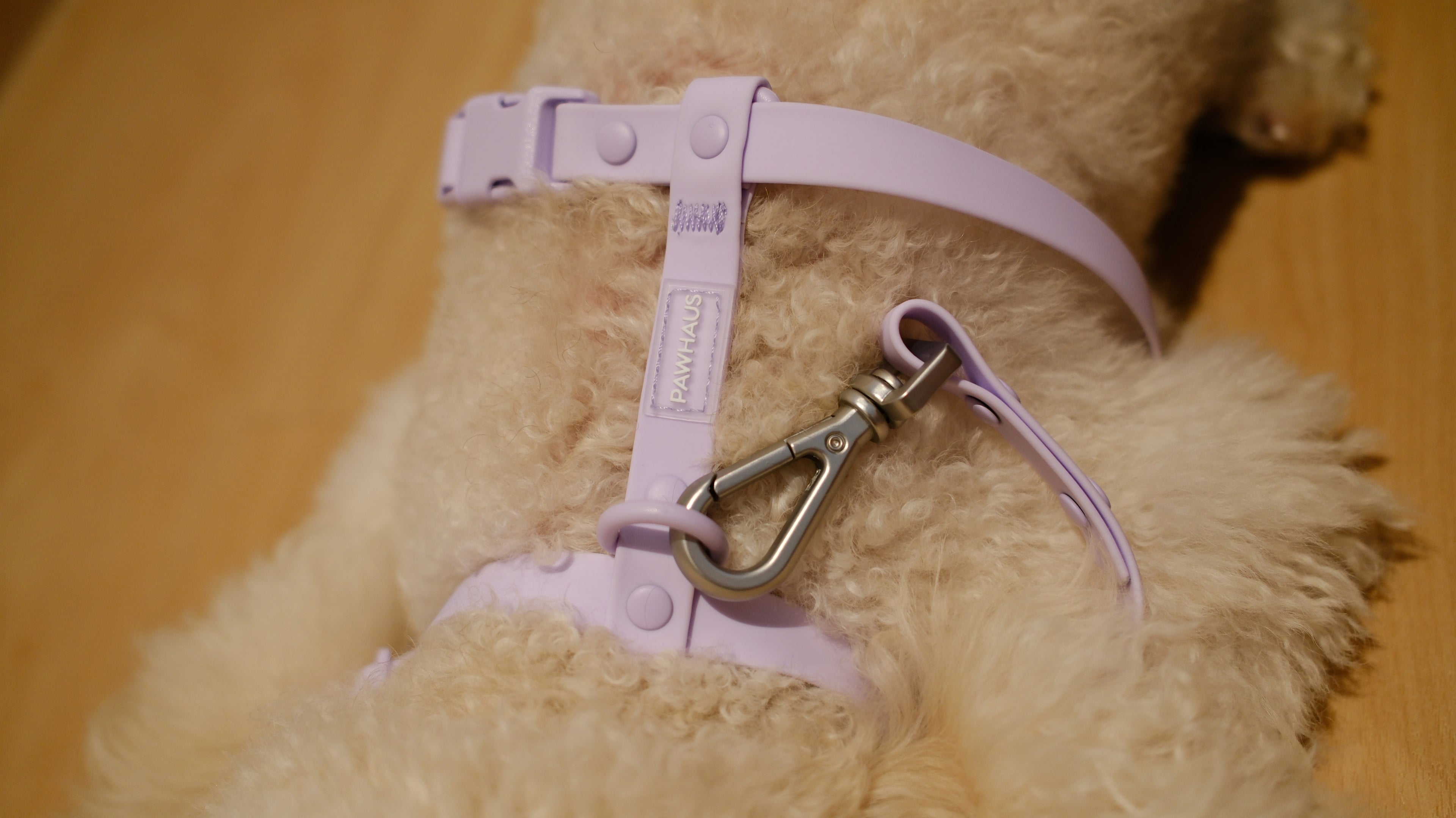 PuddleProof Harness Collection