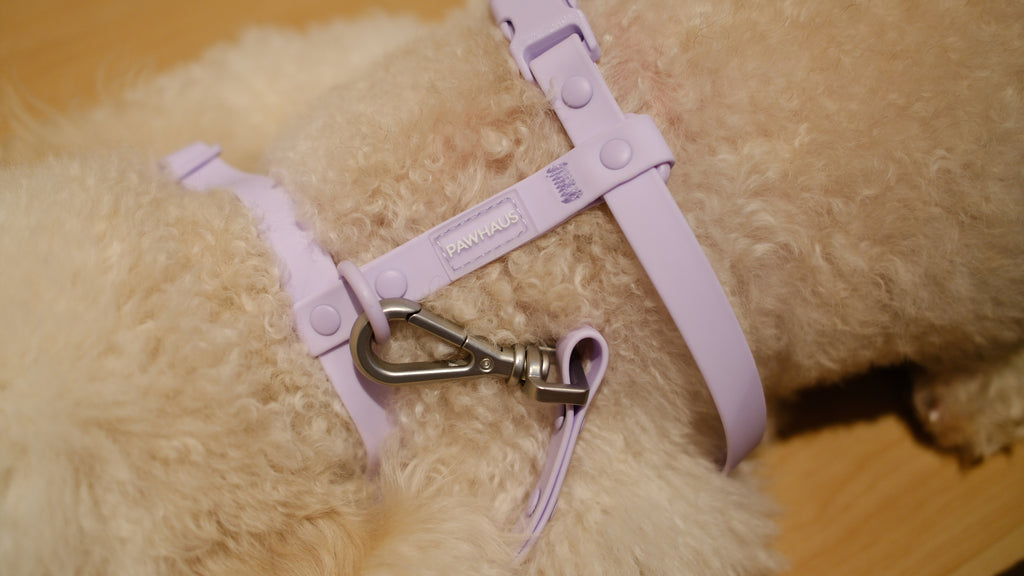 PuddleProof Harness Collection