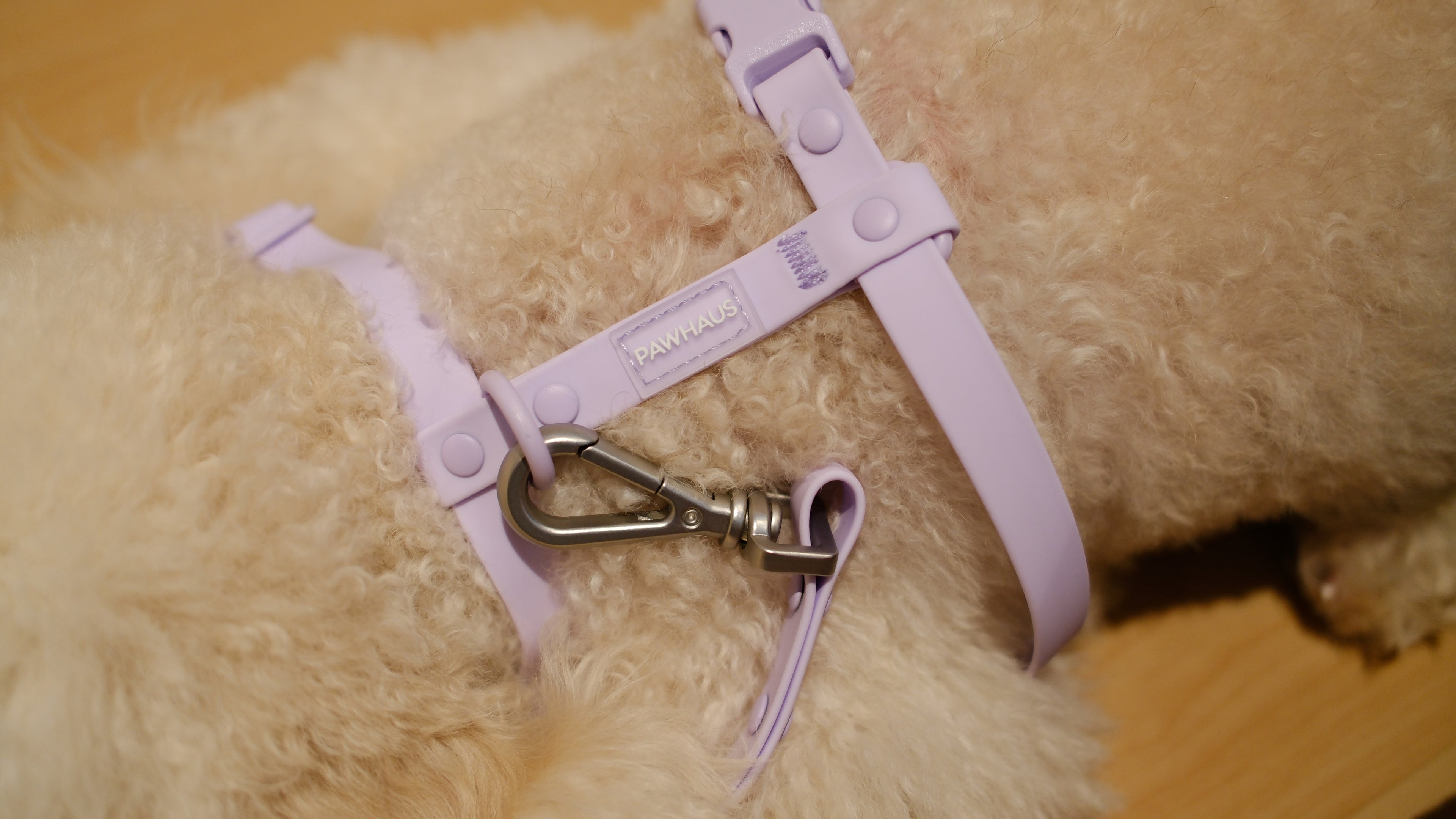 PuddleProof Harness Collection