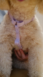 PuddleProof Harness Collection