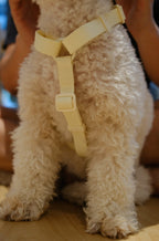 PuddleProof Harness Collection