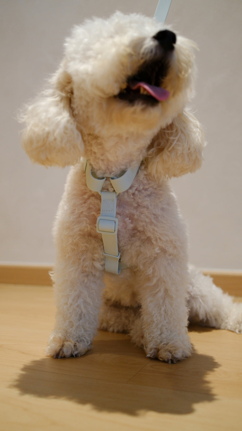 PuddleProof Harness Collection