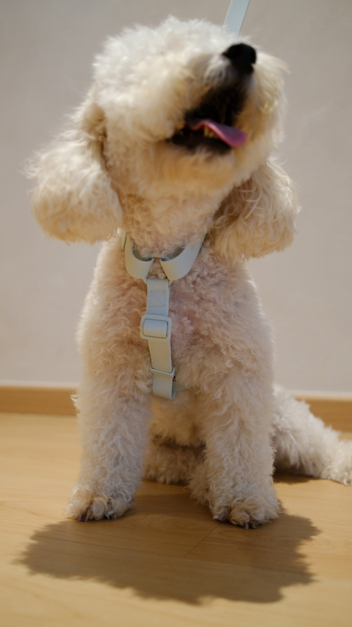 PuddleProof Harness Collection