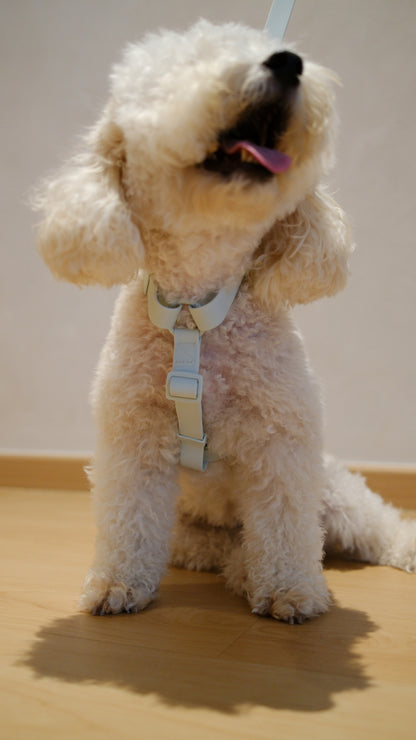 PuddleProof Harness Collection