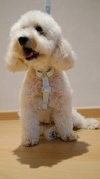 PuddleProof Harness Collection