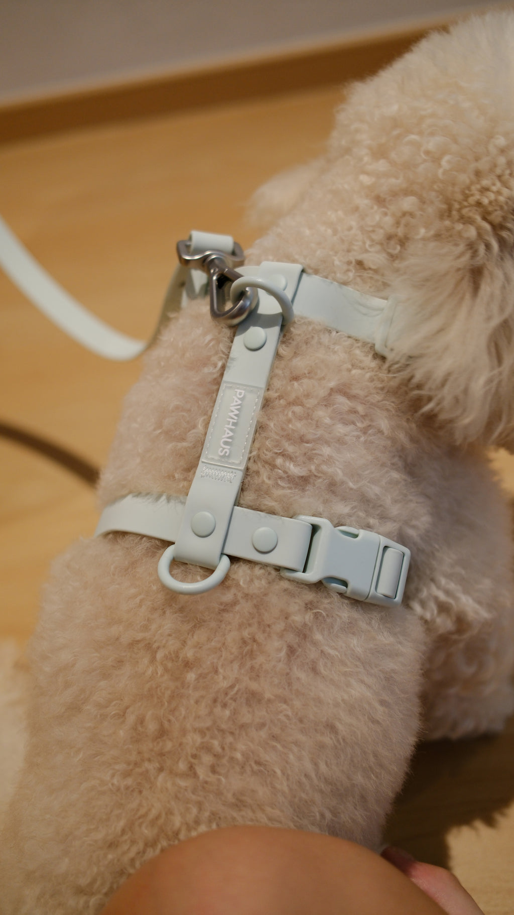 PuddleProof Harness Collection