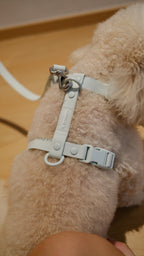 PuddleProof Harness Collection