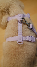 PuddleProof Harness Collection