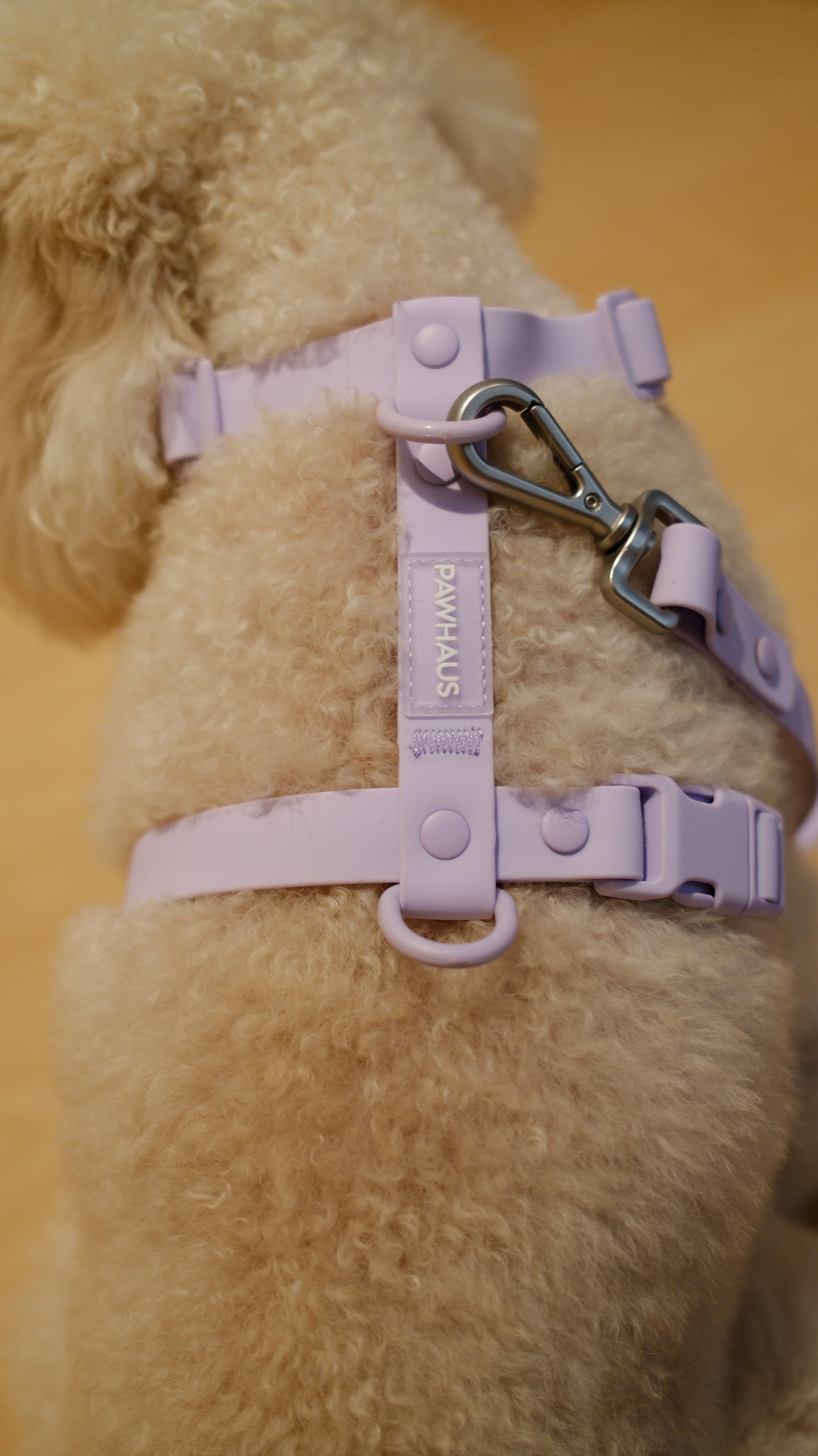 PuddleProof Harness Collection