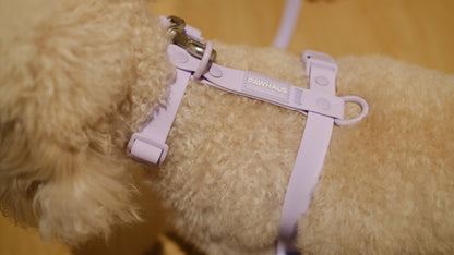 PuddleProof Harness Collection