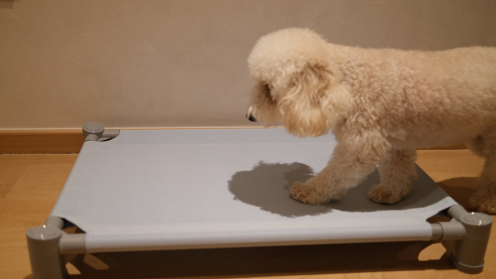 Pastel Elevated Pet Bed