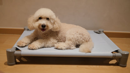 Pastel Elevated Pet Bed