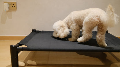 Pastel Elevated Pet Bed