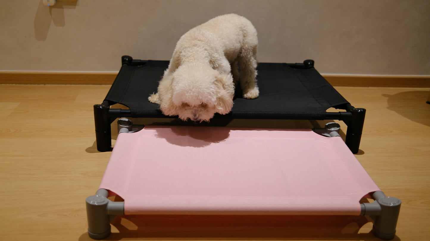 Pastel Elevated Pet Bed