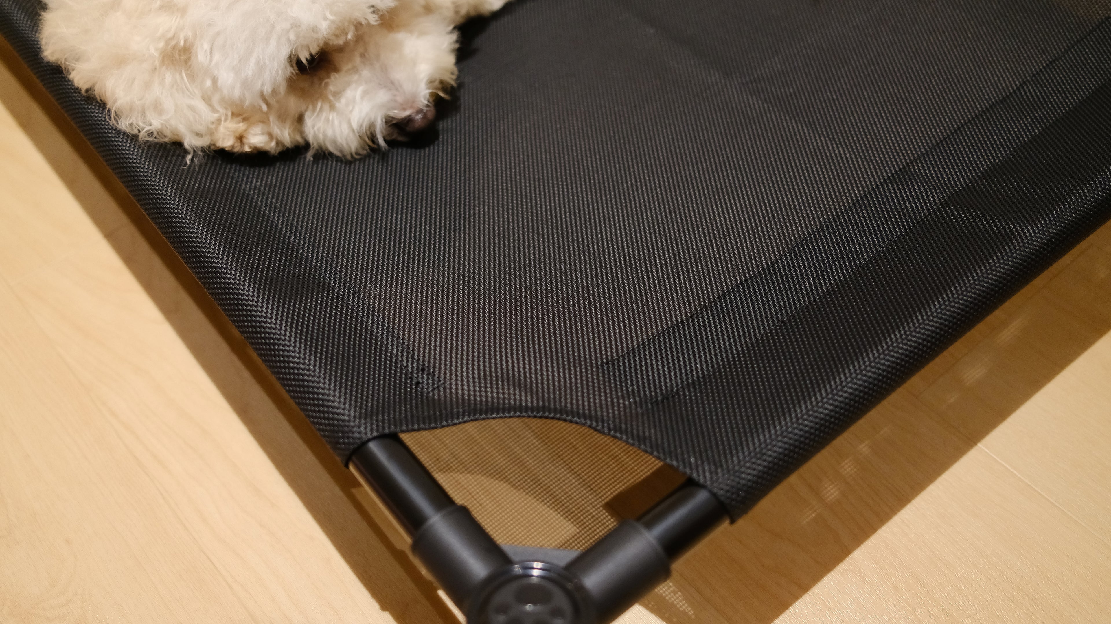 Pastel Elevated Pet Bed