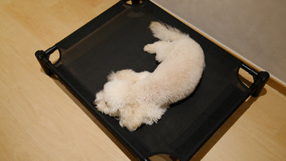 Pastel Elevated Pet Bed