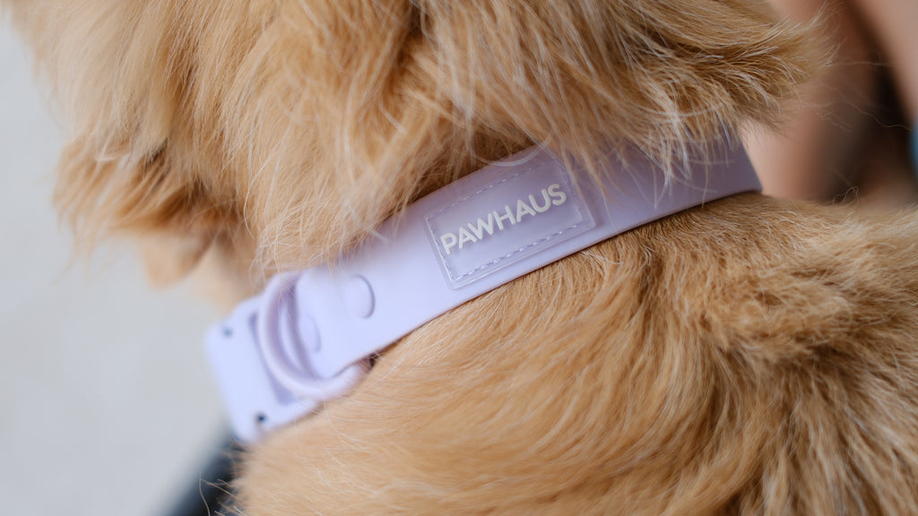 PuddleProof Harness Collection