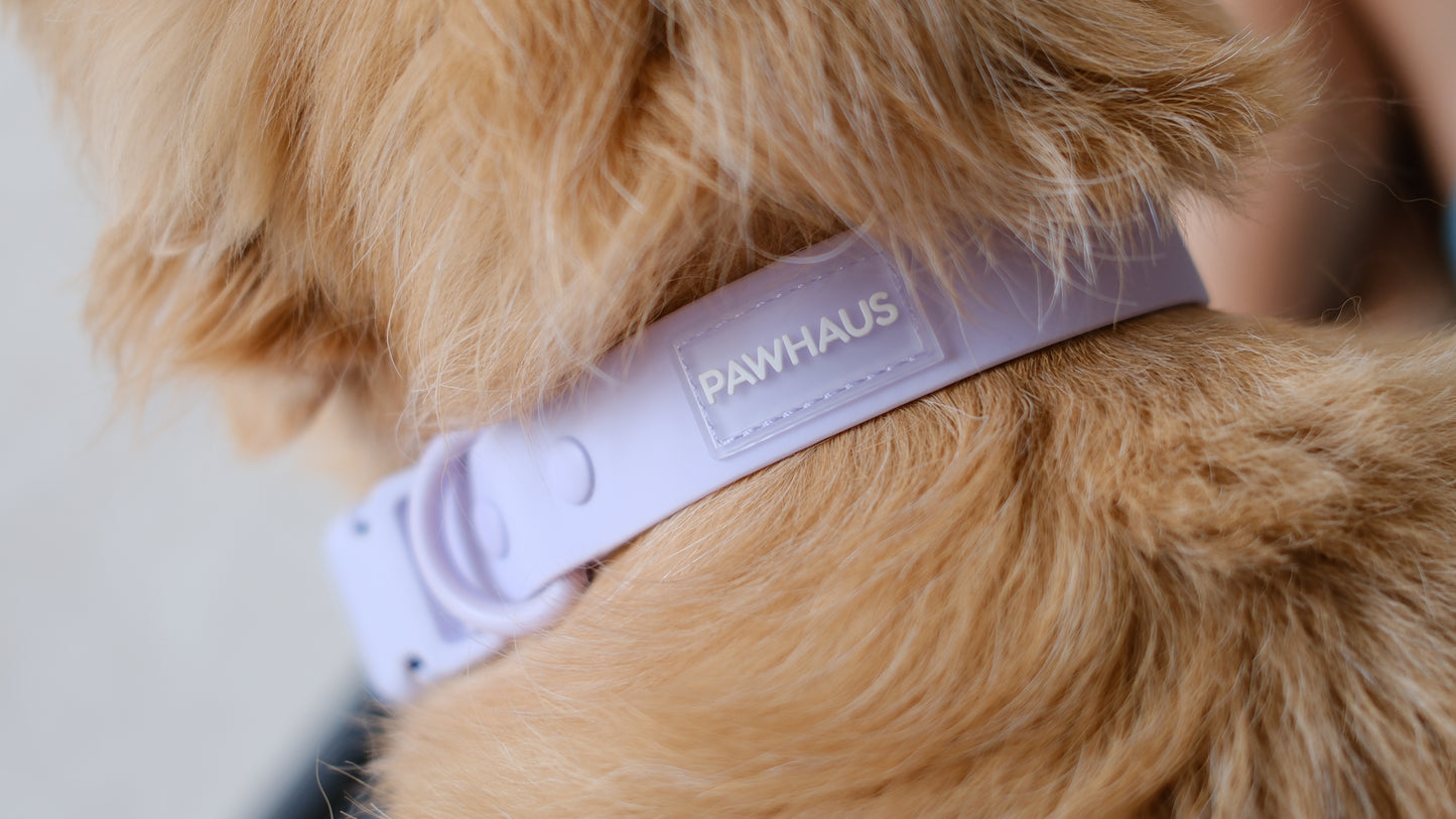 PuddleProof Harness Collection