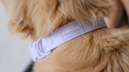 PuddleProof Harness Collection