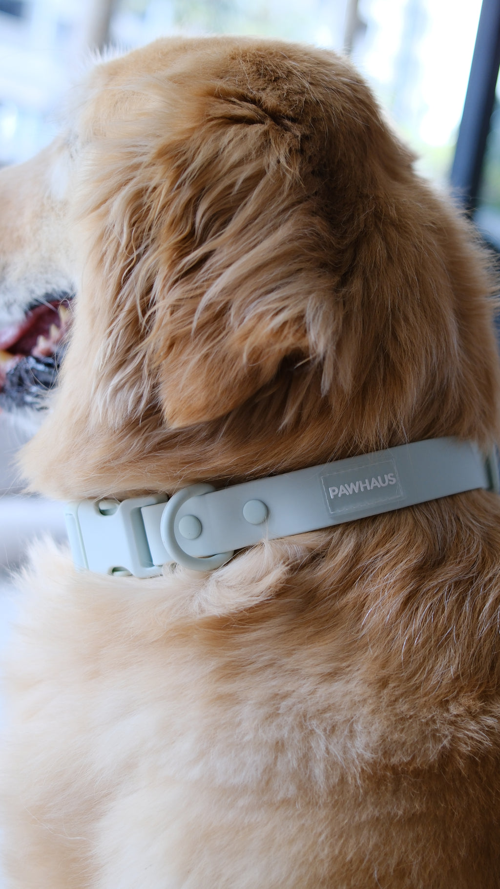 PuddleProof Harness Collection