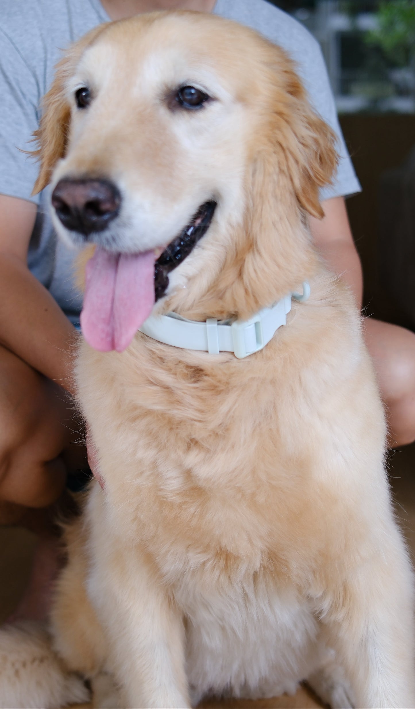 PuddleProof Harness Collection