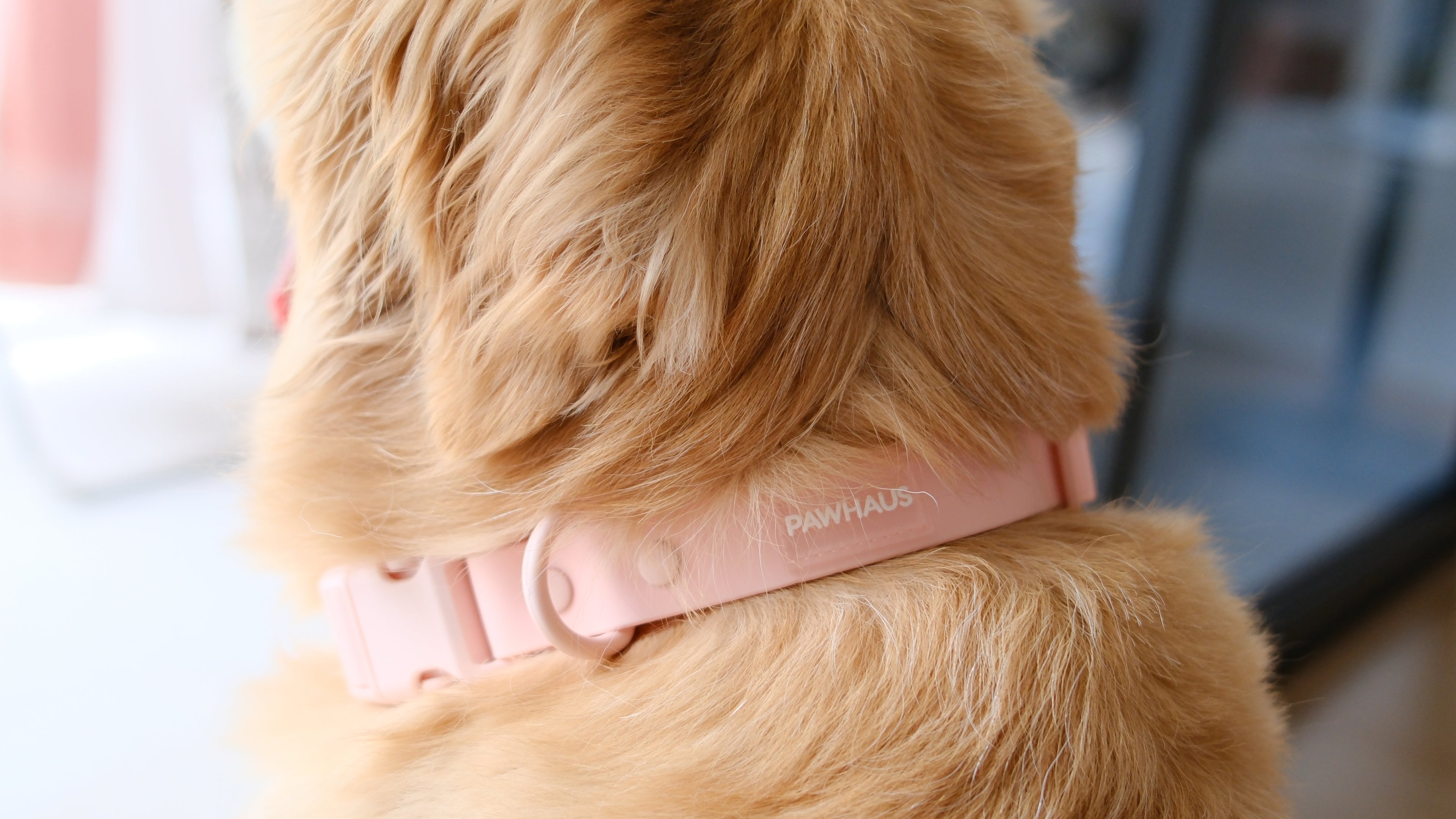 PuddleProof Harness Collection