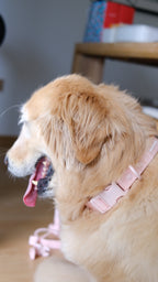 PuddleProof Harness Collection