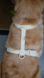 PuddleProof Harness Collection