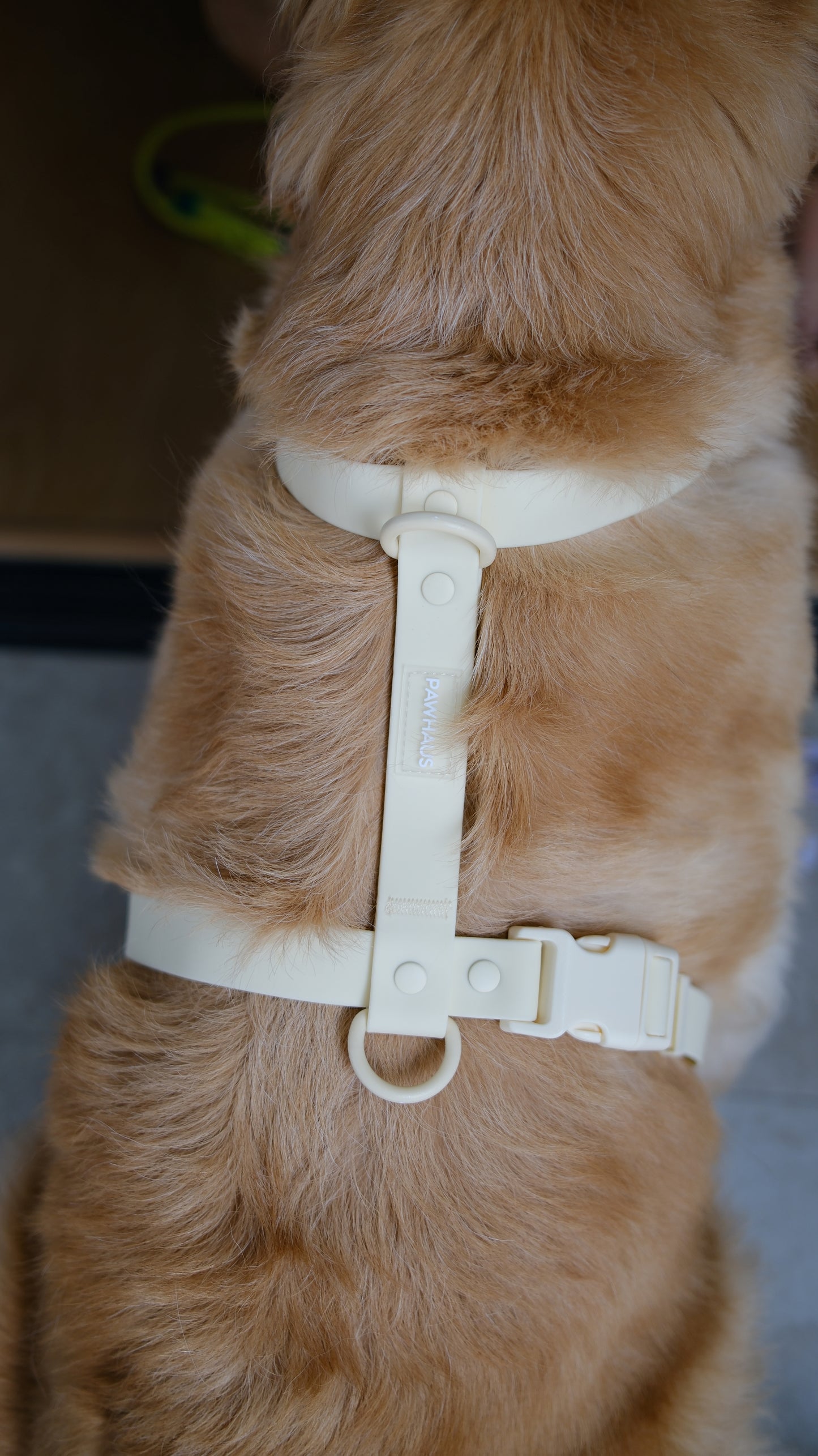 PuddleProof Harness Collection