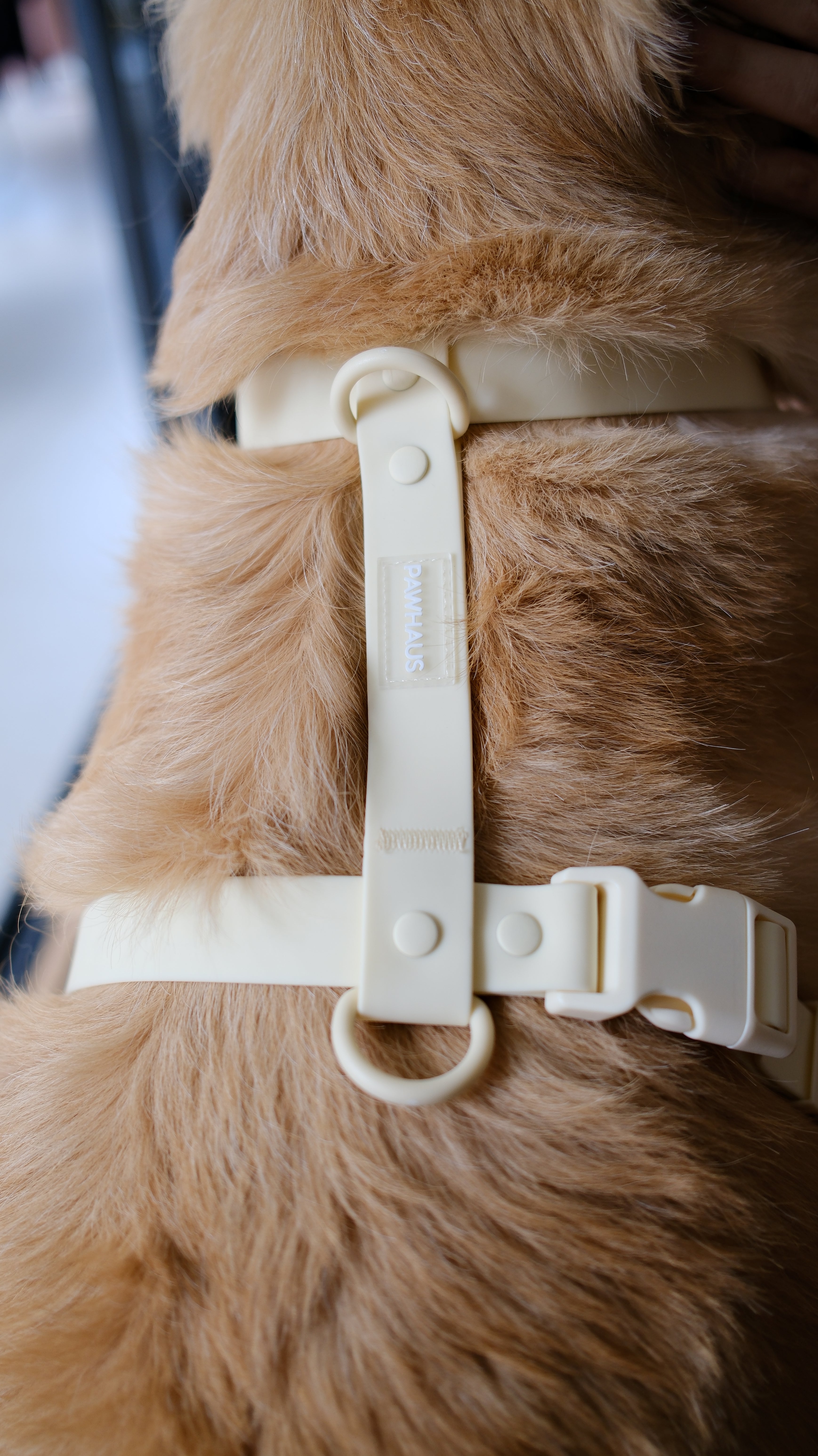 PuddleProof Harness Collection