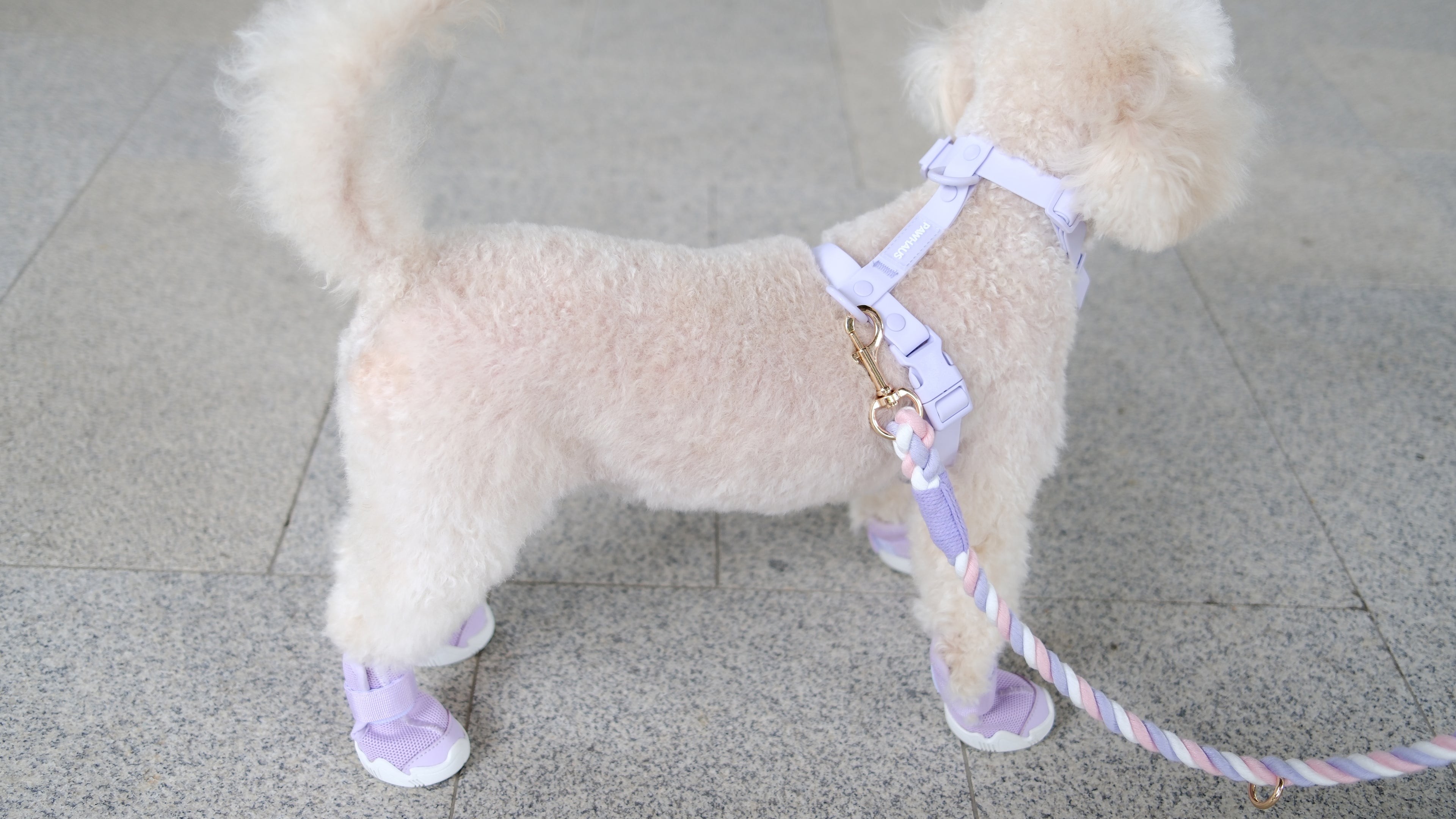 AirPaws™ Series 001 — Lightweight Breathable Dog Shoes