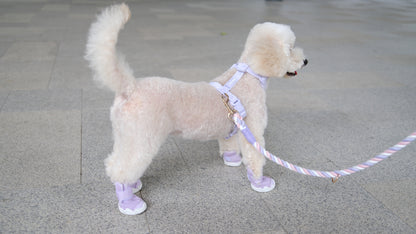 AirPaws™ Series 001 — Lightweight Breathable Dog Shoes