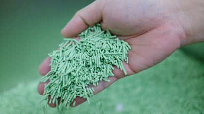 PawHaus Premium Tofu Clump (100% Natural Cat Litter)