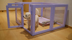 Premium Coloured Acrylic Playpen