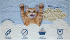 PawHaus Premium Tofu Clump (100% Natural Cat Litter)