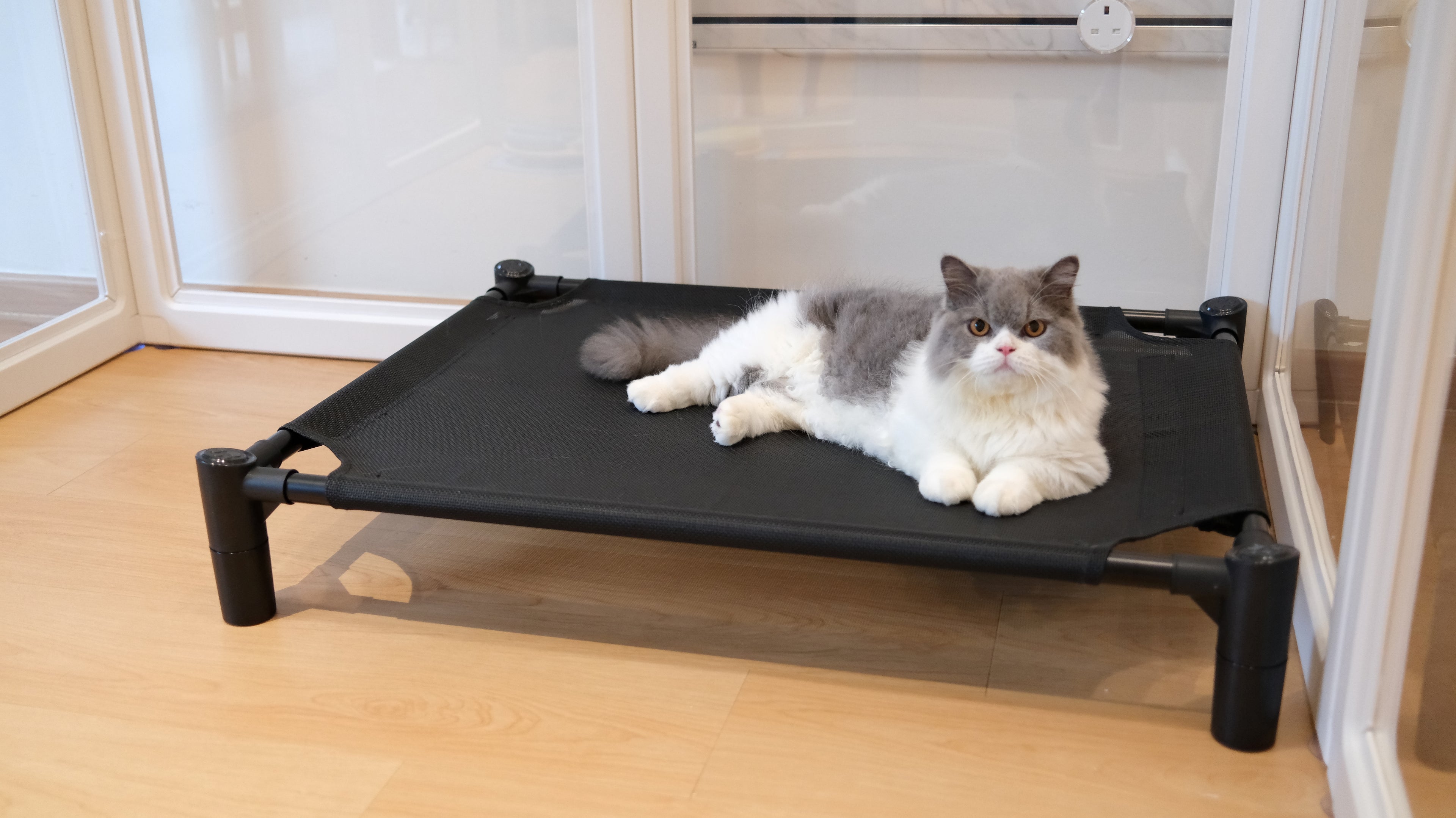 Pastel Elevated Pet Bed