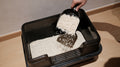 Pawhaus Stainless Steel Cat Litter Box